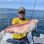 庄内エリアのアマラバゲーム(山形県鶴岡市) 庄内エリアのアマラバゲーム(山形県鶴岡市)