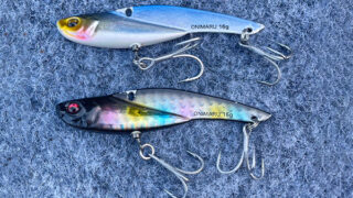 【Megabass Blog】小濵 和彦「鬼丸16gが大活躍！」