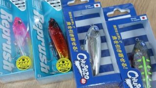 八王子店３F＠SW情報！～ハマる人続出！クロダイのルアー釣り！～