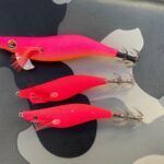 ピンクにFall in love(京丹後市久美浜町)