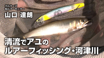 「清流でアユのルアーフィッシング・河津川」をアップいたしました。 https://ownertv.jp/movie/5276/