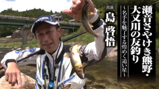 「＃681 瀬音さやけき熊野・大又川の友釣り～名手を魅了する煌めく追い星～」を公開いたしました。