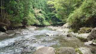 雨後の好条件で良型アマゴを手にする(山梨県南巨摩郡南部町)