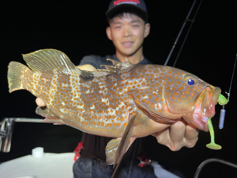【Megabass Blog】杉浦 永「秋にオススメの海釣り！タコーレソフトベイトがキジハタに超有効！」