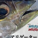 開催まで残り２日★アリゲーター展示受注会