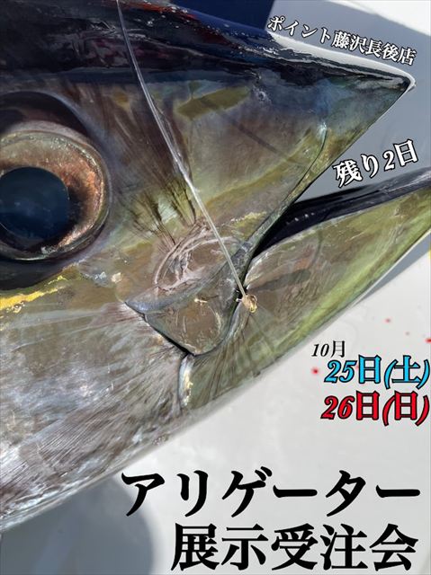 開催まで残り2日★アリゲーター展示受注会 開催まで残り2日★アリゲーター展示受注会