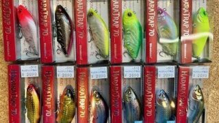 日本橋！10月30日シーバスルアー入荷情報！