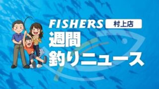 【村上店】週間釣りニュース