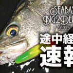 シーバスBIG2ダービー途中経過