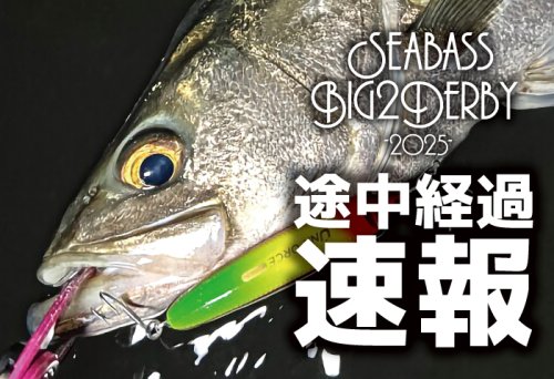 シーバスBIG2ダービー途中経過