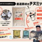 【大型チャンス】クロダイフカセ釣りにTsulino チヌミックス×MAGIC EX MINCE（さなぎ）が効果的！