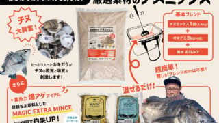 【大型チャンス】クロダイフカセ釣りにTsulino チヌミックス×MAGIC EX MINCE（さなぎ）が効果的！