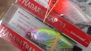 【入荷情報】ハダラトラップ70＆カラシ80SW!!!!