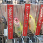本日の入荷 ～MEGABASS～