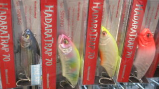 本日の入荷 ～MEGABASS～