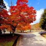 第25回トラウトキング選手権大会オープンダブルス第1戦平谷湖フィッシングスポット戦優勝/門澤康宏