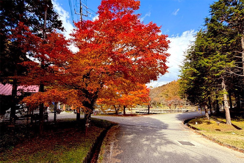 第25回トラウトキング選手権大会オープンダブルス第1戦平谷湖フィッシングスポット戦優勝/門澤康宏