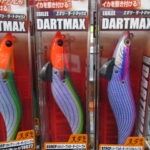 シーズン過ぎてもDARTMAX シーズン過ぎてもDARTMAX