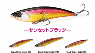 BeachWalkerトークショー＆展示即売会