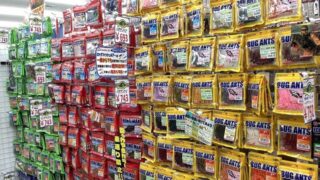 ロックフィッシュシーズン到来！？