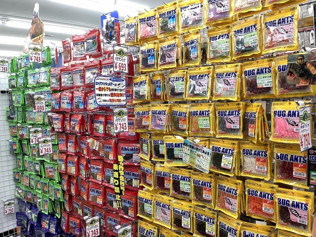 ロックフィッシュシーズン到来！？