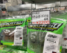 イマカツのヘアリースパイダークジャラが入荷！！