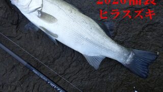 2026年新春くじ付き・福袋・ヒラスズキセット