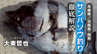 「サンバソウ釣り徹底解説/兵庫県淡路島由良」をアップいたしました。