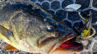 水温低下を攻略する、河口湖・晩秋の実釣ローテーション/天野雄太