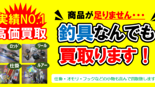 今月は木曜日です！！