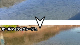足立環七店☆12月20日(土)宅配のめがねやさん合同イベント「オーダーメイド偏光サングラス＆ナイトオレンジ受注会」☆