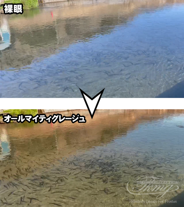 足立環七店☆12月20日(土)宅配のめがねやさん合同イベント「オーダーメイド偏光サングラス＆ナイトオレンジ受注会」☆
