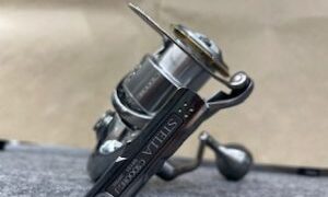 シマノ 19 ステラ C5000HG