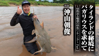 「＃701 タイランドの秘境にバガリウスを求めて～情熱迸る魅惑の怪魚ハンティング～Part 2」を公開いたしました。