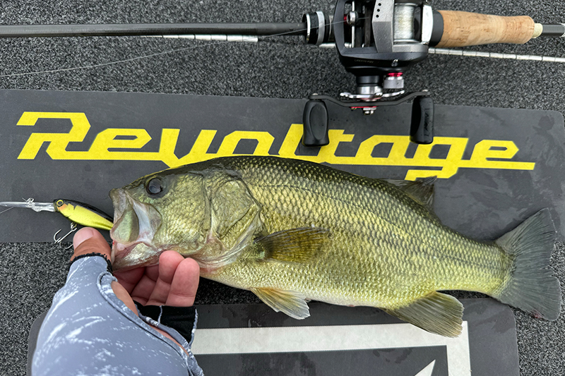 シャッドを巻くための右腕/藤田夏輝