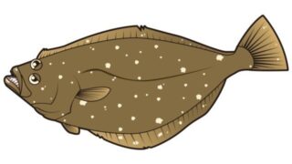 1/2　鹿島神栖店近郊　釣果情報!