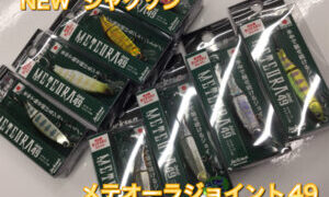 【新製品】ジャクソン　メテオーラジョイント49   が入荷しました‼︎