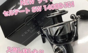【新製品】ダイワ　セルテートSW14000-XH  が入荷しました‼︎