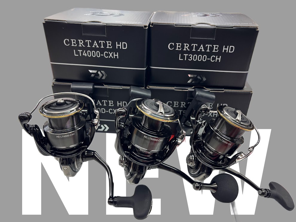 【新商品】ダイワ「26セルテートHD」入荷🔥