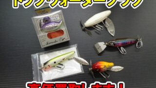 【鈴鹿・買取】痴虫（ちむし）大量入荷！プラカイバードミニほか人気作勢揃い！