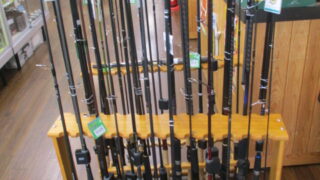 本日の入荷です！