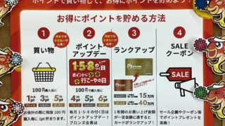 【お知らせ】ポイントアップデー！！