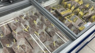 【横浜磯子】早朝営業！エサ在庫あります！！