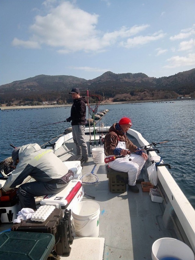 【釣行記】春の船釣り「マコガレイ」！宮城県牡鹿半島・太陽丸