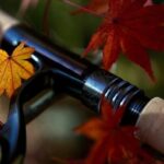 Silver Creek Extremefocus