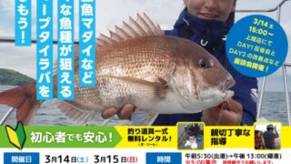 上越　ディープタイラバ体験教室からのお知らせ