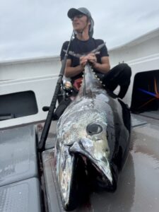 取り扱い情報♪