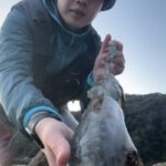 ボランチ馬田の弾丸釣行記 3月エギング編