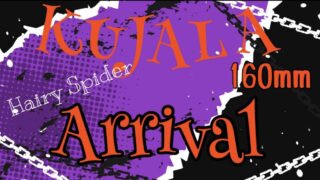 【土佐高知店】ナゾの生き物