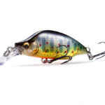 【Megabass Blog】小林 智徳【FIELD REPORT】2026 長良川本流・始動。 【Megabass Blog】小林 智徳【FIELD REPORT】2026 長良川本流・始動。